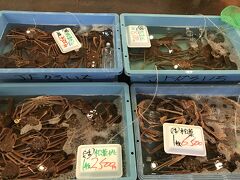 向かった先は鳥取県のマリンピア賀露。

もちろん狙いは解禁された蟹！！！




ではなくて