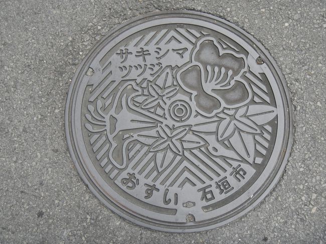 足元を見ると下水道の蓋があった。時々気が付くと写真を撮ることにしている。