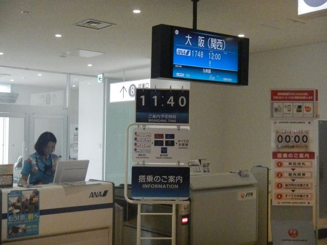 ＪＡＬのサファイアを目指しているはずがここからはＡＮＡに乗る。<br />石垣～羽田間の航空券が高かったので、ＵＡのマイルを８０００マイル使い、特典航空券を取った。