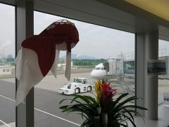 １日目。岩国錦帯橋空港から、羽田、シドニーで乗り継いでオークランドへ。