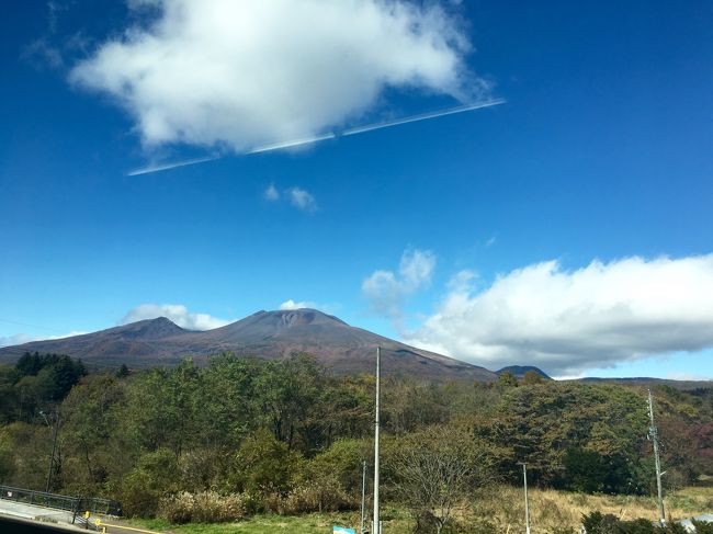 北陸新幹線で軽井沢に向かいます。<br />どれ位寒いのか分からないので、今季初のヒートテックと厚手のニット着用！あとは風を通さない薄手のコートを羽織りました。<br />ホッカイロを持参して、寒かったら使うことにします。<br /><br />今回はJTBでJR＋宿泊のセットを利用しました。<br />軽井沢駅からはJTBにもらった荷物先送りチケットでホテルに荷物を先送りします<br />身軽になったら星野エリアに向かう無料シャトルバスでハルニレテラスへ出発！