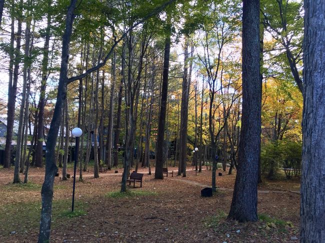 ブレストンコートそばの広場です。<br />結婚式も行われていました。寒いけどお天気で良かったですね！<br />ラウンジは結婚式をしていたからか待合室化していて、雰囲気がないので入らずに退散しました。<br />ガイドブックを見て期待しすぎました。<br />静かな時だともっと良いと思います。