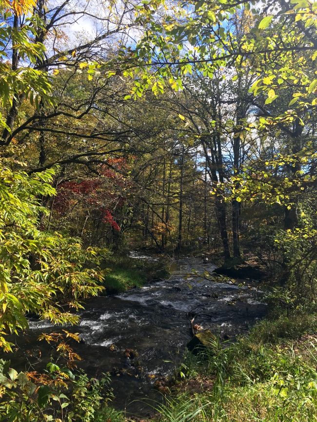 ハルニレテラスに戻ってきました。<br />自然に囲まれてますね。