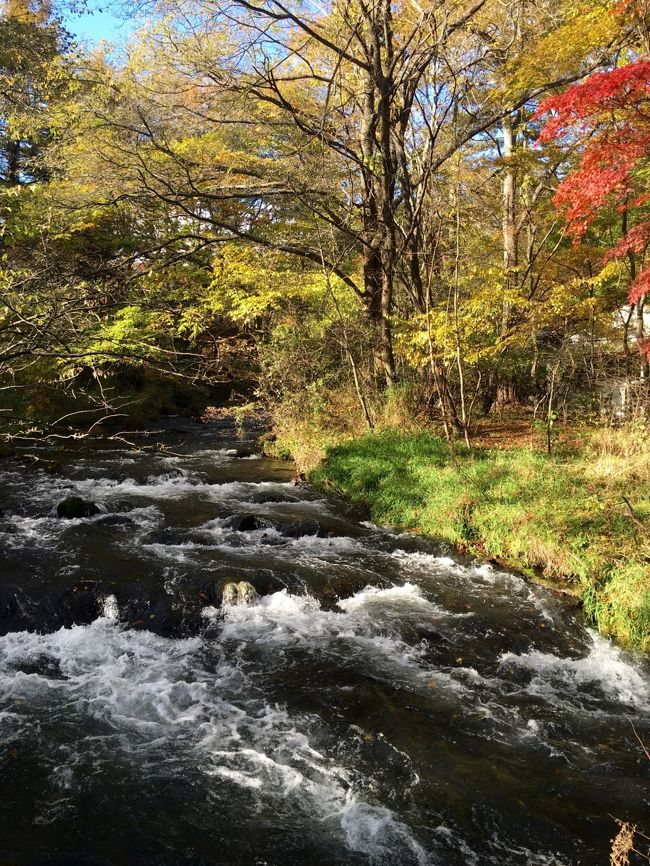 川の流れはずっと見ていても飽きません。<br />ランチはイル・ソーニョ。<br />名前を書いて30分ほど待ったでしょうか。<br />おしゃれな店内で生パスタを食べました。<br />おしゃれでおいしいですが、男性は量が足りないと思います。<br />川上庵の蕎麦も食べたかったな～