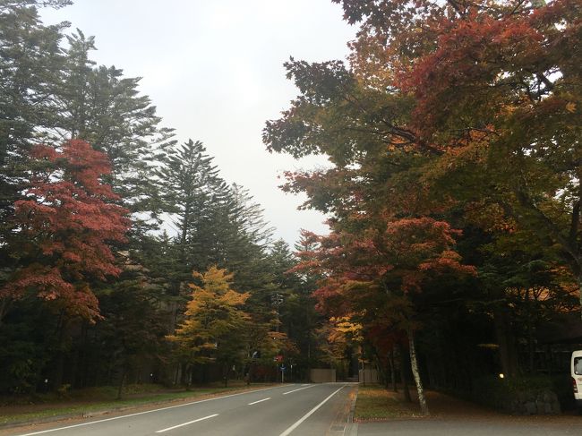 翌朝。ホテルでレンタサイクルを借りて散策です。<br />ホテルでは長時間の場合は駅前で借りた方が安いですよと勧められましたが、面倒なのでホテルで借ります。（4時間以上2000円だったかな？）<br />駅前で自転車を借りる場合は、荷物をホテルに預けて車で駅まで送ってくれます。自転車を返して帰るときに駅から電話すると、荷物だけ持ってきてくれるそうです。<br />なかなか良いサービスですね。