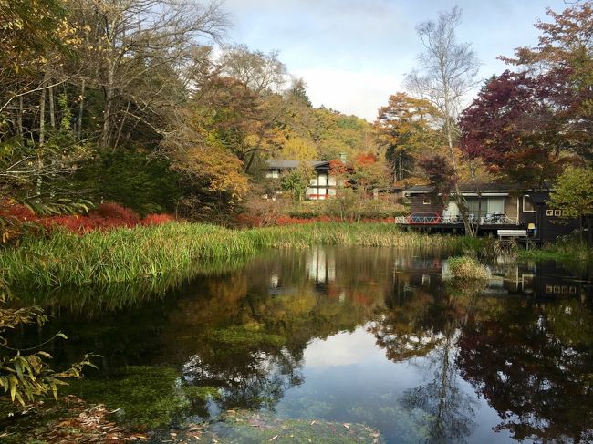 まずは朝の雲場池へ向かいます<br />自転車を停めて、ぐるっと一周歩きます。<br />