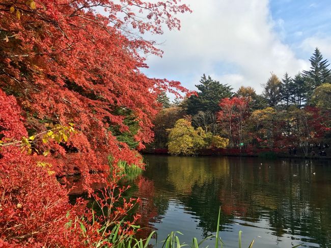 早朝でしたが、結構な人がいました。<br />皆さん写真を撮ってましたよ。