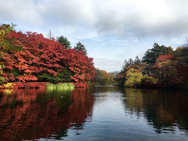 寒いけど、空気が気持ちいい！<br />吐く息が白かったです。