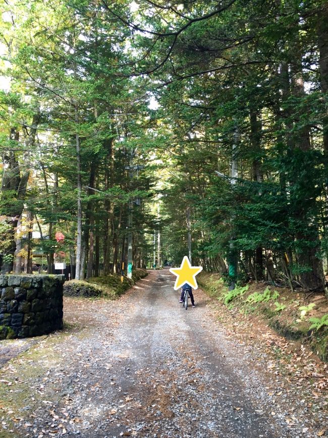 別荘地をウロウロ。