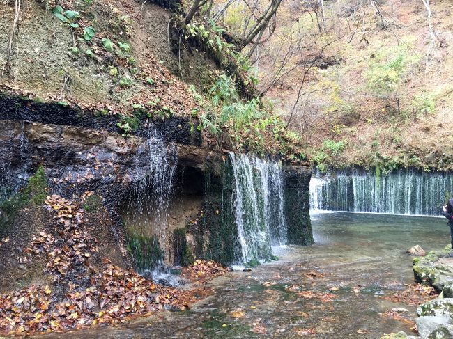 旧軽井沢銀座に自転車を停め、バスに乗って白糸の滝へ行きました。<br />20分くらいかかったでしょうか<br />途中、急な坂道を登っていくので、下をのぞくと結構怖いです。