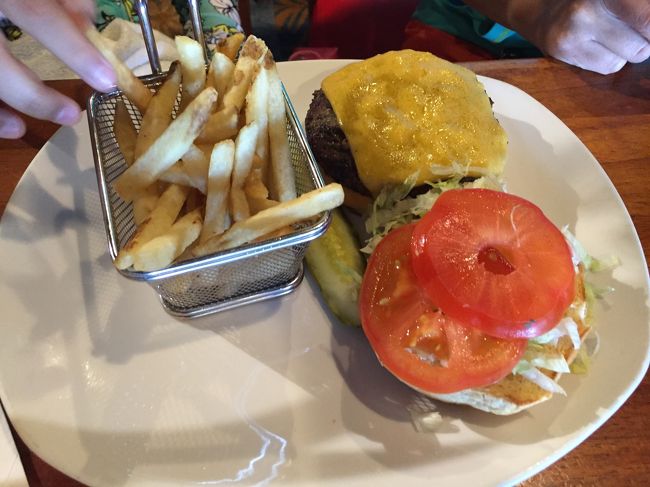 DUKE’S 1/2 LB. CHEESEBURGER　<br />デュークの1/2ポンドのチーズバーガー