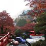 富士屋ホテルの紅葉もそろそろフィナーレ（11月22日）