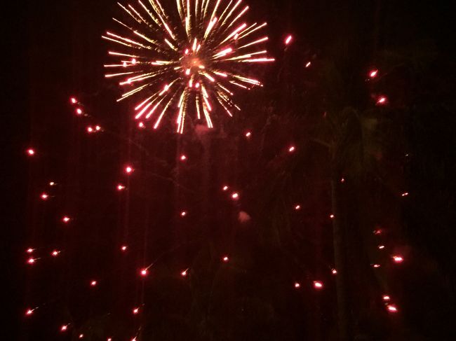 近くで見てるので迫力はあります。