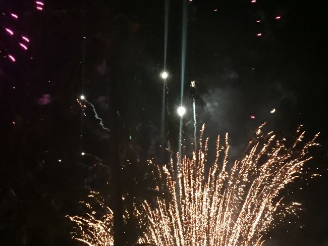 iPhoneではなかなか上手に撮れません。