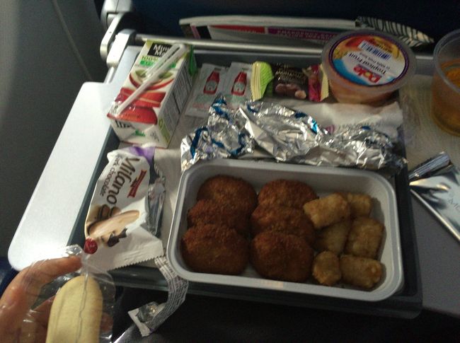ホノルル空港から出発して2時間ほど経過すると食事が配られます。<br /><br />まずは優先で子供用の食事です。<br /><br />ナゲットとポテト、クッキーにパンとジュースです。<br /><br />残念"(-""-)"