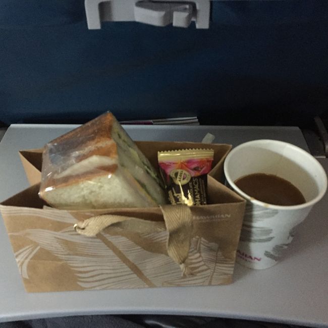 到着2時間前に、サンドイッチが配られます。<br /><br />子供も一緒です。<br /><br />復路が可愛いので子供がお持ち帰り(^^)v