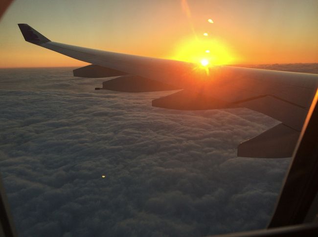 夕日が見えてきました、まぶしいけど綺麗です。<br /><br />しばらくすると、淡路島の上空を飛んでおり島が見えました。<br /><br />無事に関空に到着です。<br /><br />