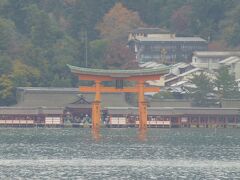 厳島神社が見えてきました！
海から眺めると社殿も正面に見えていい感じです。
