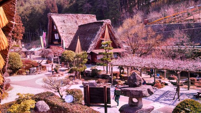 2日目、合掌集落に。