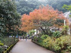 箕面公園昆虫館に寄ります。