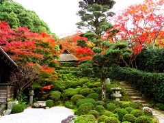 金福寺は一乗寺の住宅地の中にある静かなお寺です。慈覚大師による開基で、松尾芭蕉、与謝蕪村のゆかりの地として知られ、多くのファンが訪れています。