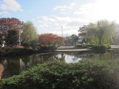 食後､ぶらぶらしながら菰池公園へ来ました｡