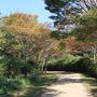 バスツアーで神戸市立森林植物園～有馬・瑞宝寺公園～ネスタリゾート神戸・開業前のイルミネーション