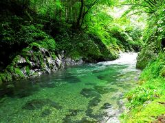 ここが東京都内であることを忘れるような、美しい渓谷を見られます。
水がとても美しく、季節になるとアユやヤマメ釣りを楽しむことができます。