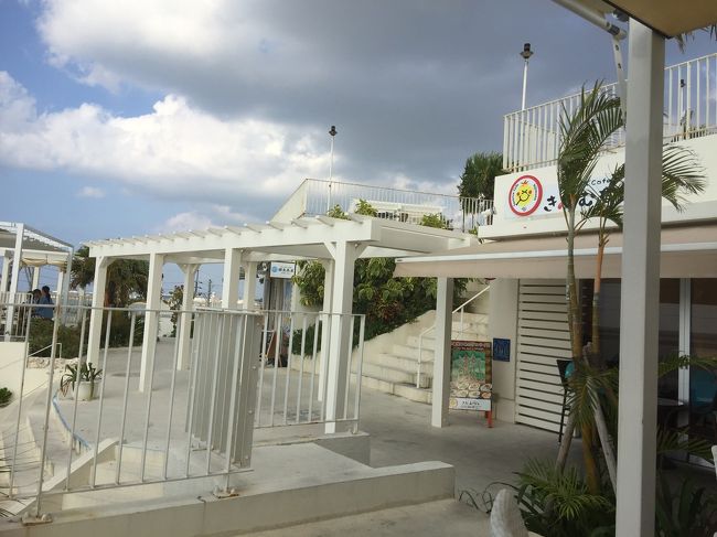 こちらの看板店で食事しました。<br />下の方に店番号が振っている小さな看板は、<br />石垣島にある石垣焼窯元さんが作られたそうです(^-^) 大好きな石垣焼窯元の作品の色に似ていると思いましたが、窯元のご夫妻が教えてくださいました(^-^)<br />