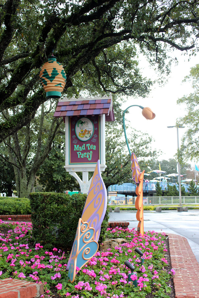 まずはファンタジーランドを周ります。<br />マッド・ティーパーティ。