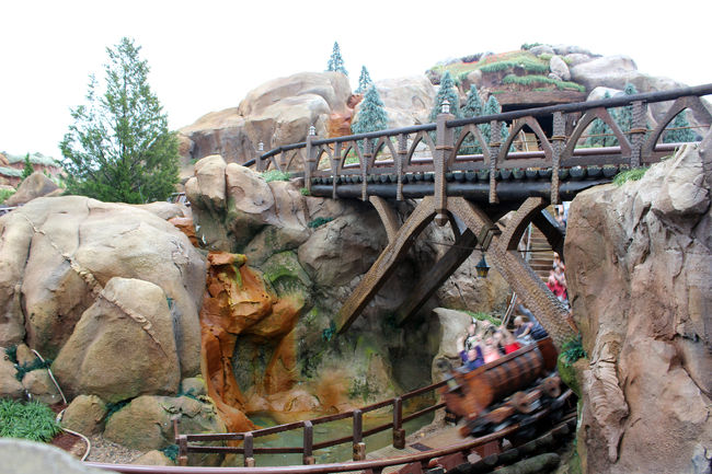 ファンタジーランドで今一番人気のセブンドワーフ・マイントレイン。<br />スタンバイだと1時間以上待つのでFPを使って午後に乗りました。<br />