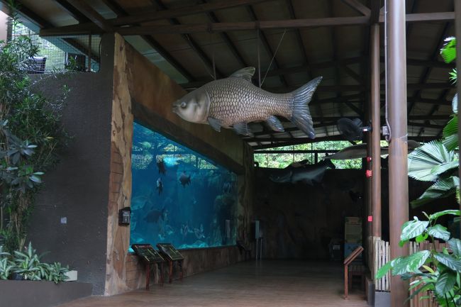 真ん中に池があり左回りで進むと南国の魚が水槽に