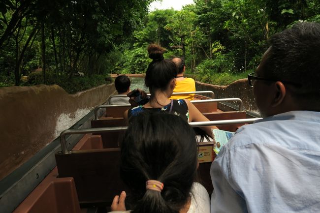 ジェットボートみたいにガーっと行くのかなと思いましたが、結局まったり系のアトラクションですね。動物もふーん、って感じですから、こりゃだいぶいまいちかもしれない