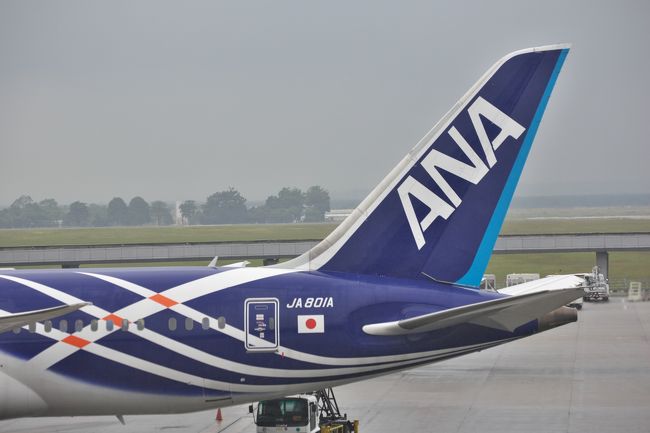 ラウンジからこの日搭乗するＮＨ８８６便。鯖？カラーです。