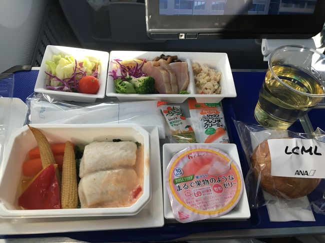 機内食は、韓国での暴飲暴食を見込んで、ローカロリーミールにしました。