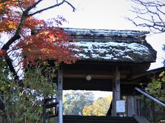 東慶寺　山門と紅葉　１１：３５頃

雪、残っています！
そうそう、「雪と紅葉」、これがこの日のテーマです。
