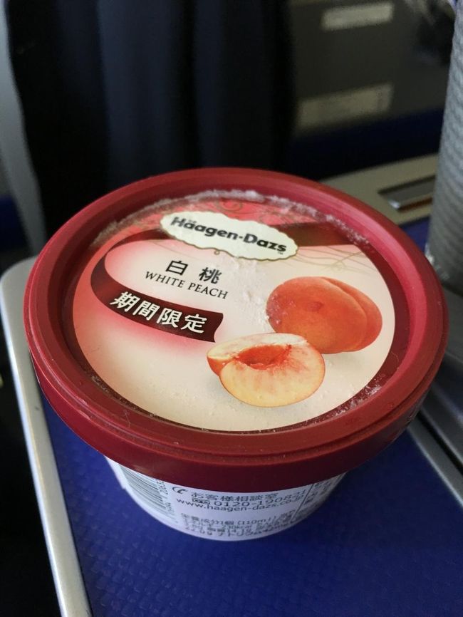 少しモノ足らなかったのでハーゲンダッツを買ってしまいました...。