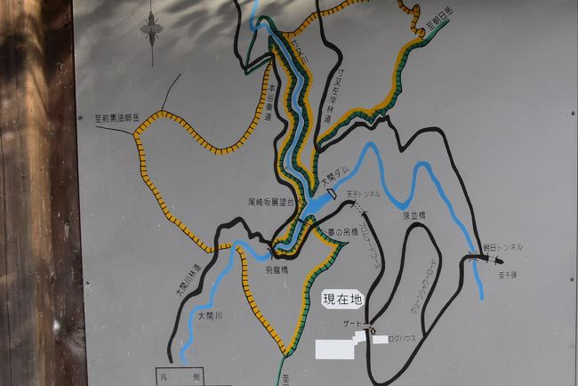 寸又峡の案内図<br /><br />ゲートからプロムナードコース散策路（約90分）を歩きます。<br /><br />天子（てんし）トンネルを抜けると大間ダムが現れ、夢の吊橋を渡り、対岸中腹の尾崎坂展望台・飛龍橋を通り戻って来ます。<br /><br />紅葉シーズンは夢の吊橋を往復することができず、対岸へ渡る一方通行になっています。<br />