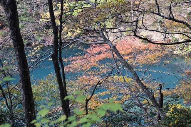 青く透き通った「チンダル湖」<br /><br />大間ダム湖の水は底まで見えるほど透明で綺麗な水です。<br /><br />この水にわずかな微粒子が溶け込んでいて、微粒子のせいで波長の短い青い光だけが反射され、波長の長い赤い光が吸収されるチンダル現象から「チンダル湖」と呼ばれています。<br />