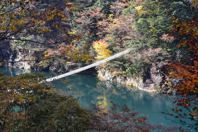 「夢の吊橋」が見えます<br /><br />大間川と寸又川の合流点の上流に位置している「夢の吊橋」は、散策路から急坂を下りていきます。<br />