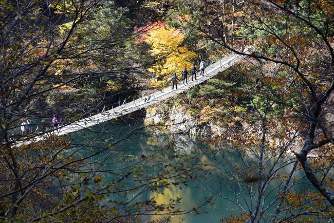 恐る恐る渡っている「夢の吊橋」<br /><br />吊橋は、長さが90m、高さが8mあります。<br />