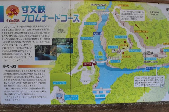 プロムナードコースの案内<br /><br />夢の吊橋を渡り、対岸の急な登り坂を上がると尾崎坂展望台があります。<br /><br />そして、森林鉄道軌道跡を歩き、トロッコが走っていた飛龍橋を渡り、元の散策路に戻って来ます。<br />