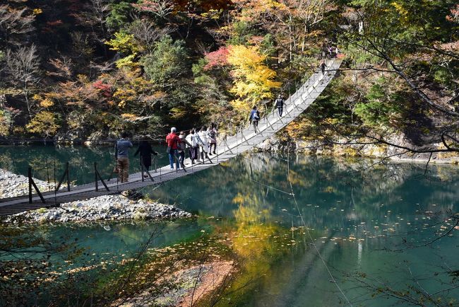 紅葉の「夢の吊橋」<br /><br />エメラルドグリーンの湖面に黄色に染まる木々が映っています。<br />