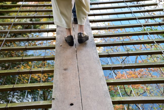 下が丸見えの吊橋<br />