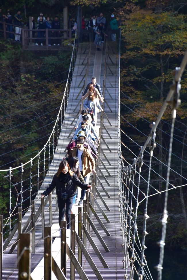 次の10人は順調に渡っています<br /><br />怖くないの～<br />