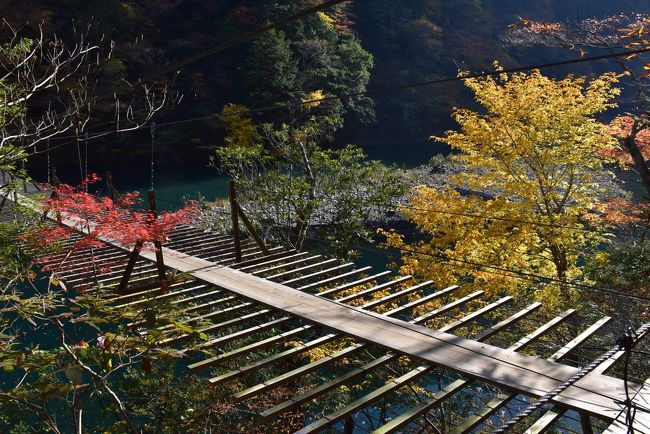 真ん中に板を置いただけの吊橋？？<br /><br />手すりのロープがないと、恐怖の吊橋に見えてしまいます。<br />