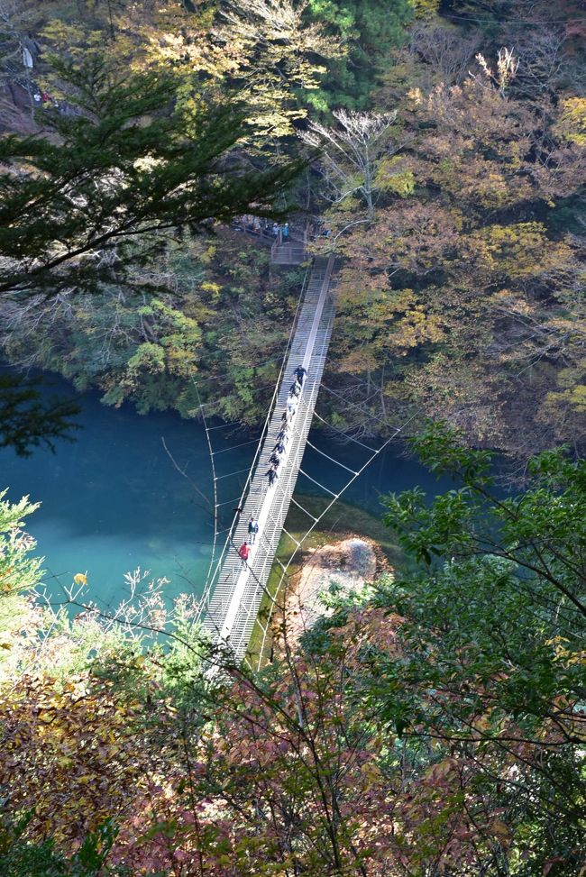 眼下に「夢の吊橋」<br /><br />急な登り坂の途中からの眺めです。<br /><br />これから渡る人たちの行列ができています。<br /><br />かっちんは平日なので10分待ちでしたが、土日は2時間待ちになるそうです。<br />