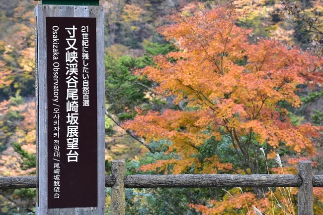 21世紀に残したい自然百選<br /><br />紅葉の寸又峡渓谷尾崎坂展望台からの眺めです。<br />