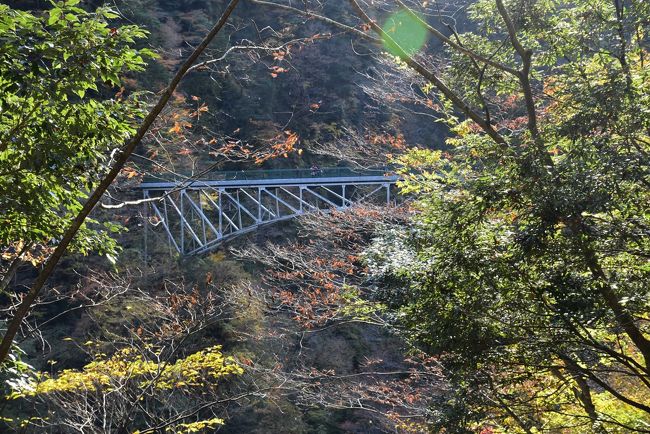峡谷に架かる飛龍橋<br /><br />森林鉄道のトロッコが走っていた長さ72m、高さ70mのアーチ橋です。<br />