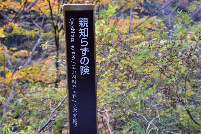 親知らずの険<br /><br />急峻な断崖の上に散策路があります。<br />